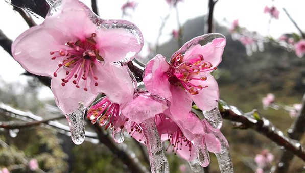 Thời tiết ngày 22-2, không khí lạnh lại tăng cường, rét đậm đến hết 24-2